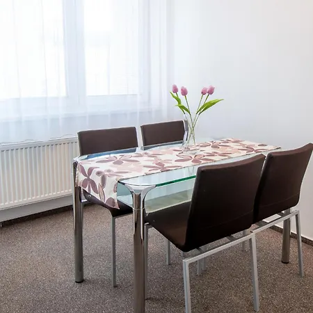 Pensionat Na Dlouhe 2*
